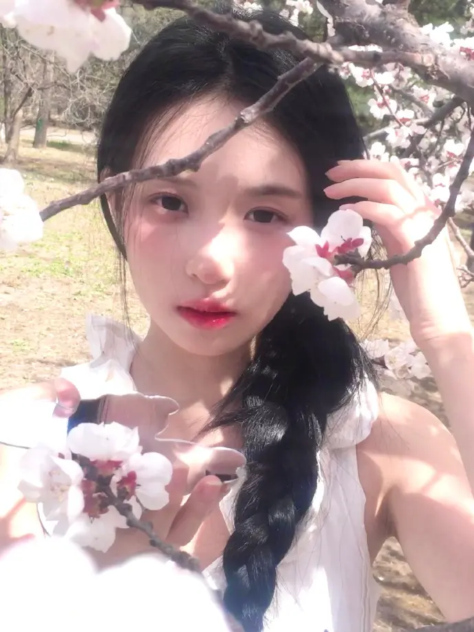 野蛮女友下载数据分析图表